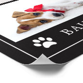 ポープリント |写真数々のペット犬または子犬 ポスター (角)