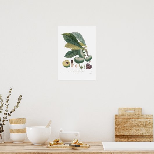 ポーポー ポスター (キッチン)