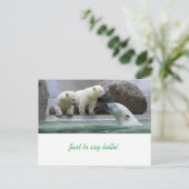 ポーラベアはがき ポストカード (スタンド正面)