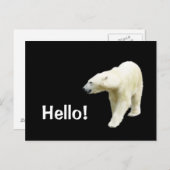 ポーラベアオンブラックハロー ポストカード (正面/裏面)