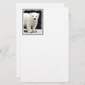 ポーラベアキュブ絵画ズ – オリジナル野生動物アート (正面/裏面)