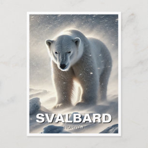 ポーラベアスノースバルバードノルウェー ポストカード