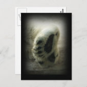 ポーラベアポーズポストカード ポストカード (正面/裏面)