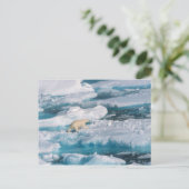 ポーラベア歩くオンザシー ポストカード (スタンド正面)