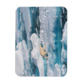 ポーラベア歩くオンザシー マグネット (縦)