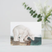 ポーラベア(ウルソマリティムス)イラストレーション ポストカード (スタンド正面)