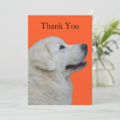 ポーラユーモアのあるンド·タトラ·ドッグのおもしろい·サンキューカード サンキューカード (スタンド正面)