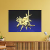 ポーランドのケレスティートで硫黄(S) キャンバスプリント (インサイチュ (リビング))