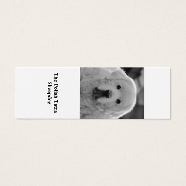 ポーランドのタトラ・シェプドッグパピーのブックマーク (正面)