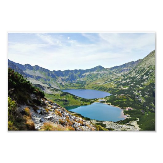 ポーランドのポンドバレータトラ フォトプリント            (正面)