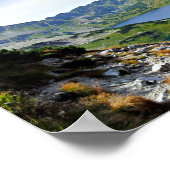 ポーランドのポンドバレータトラ ポスター (角)