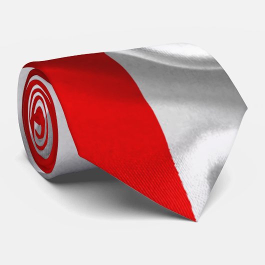 ポーランドの紋章付き外衣 ネクタイ (ロール)
