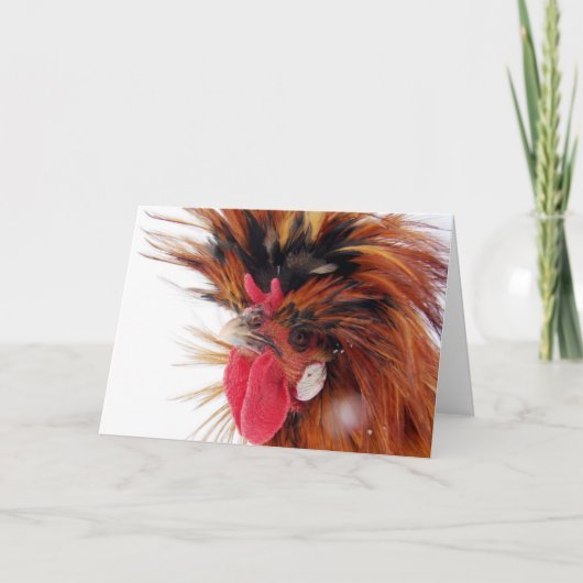 ポーランドの鶏の冬の雪クリスマス シーズンカード (正面)