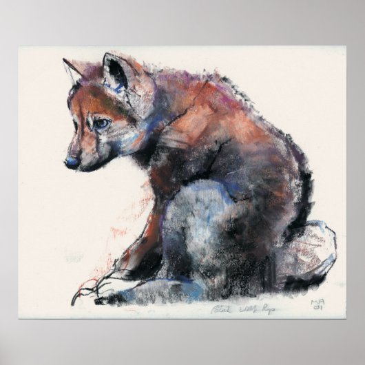 ポーランドウルフカップ2001 ポスター (正面)