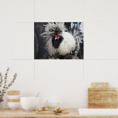 ポーランドクレステッドの雄鶏 ポスター (キッチン)