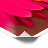 ポーランドザポーズウォール ポスター (コーナー)