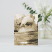 ポーランドシックインセピア ポストカード (スタンド正面)