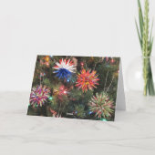 ポーランドスターオーナメント シーズンカード (裏面)