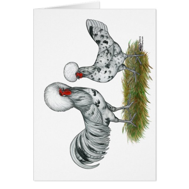 ポーランドスプラッシュチキン (正面)