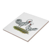 ポーランドスプラッシュチキン タイル (側面)