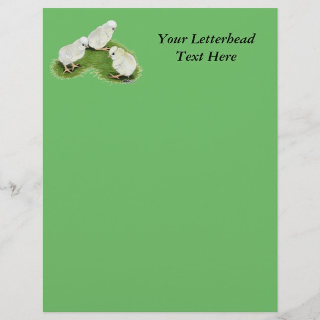 ポーランドスプラッシュチックス (正面)