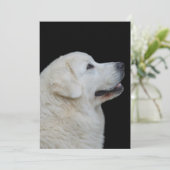 ポーランドタトラ素晴らしシープドッグのカードの頭 サンキューカード (スタンド正面)