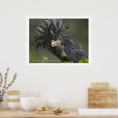 ポーランドチキン ポスター (キッチン)