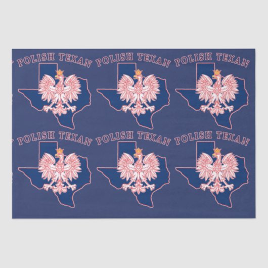 ポーランドテキサンイーグルの地図 薄葉紙 (正面)