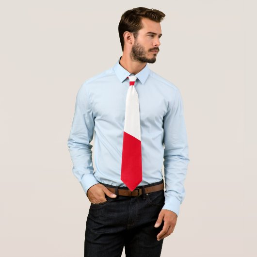 ポーランドネックタイノット ネクタイ (インサイチュ)