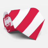 ポーランドファッションポーランド国旗のビジネス ネクタイ (ロール)