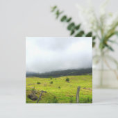 ポーランドフラットカードから雲が降り注ぐ (スタンド正面)