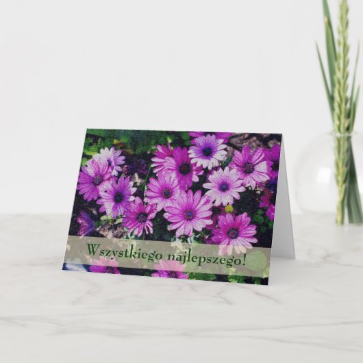 ポーランドフローラ誕生日カードストラットアフリカンダイジー カード (正面)