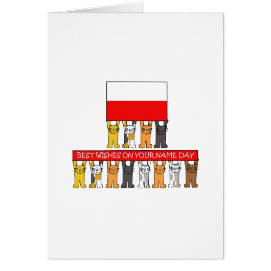 ポーランド名のデイカートゥーン猫 (正面)