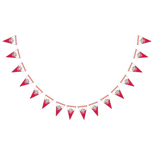 ポーランド国旗とパーティーポーランドイーグルバナー/結婚式 バンティングフラッグ (全)