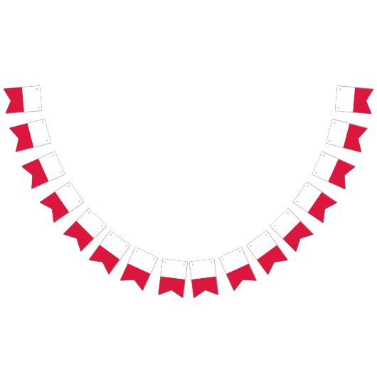 ポーランド国旗のバナー バンティングフラッグ (全)