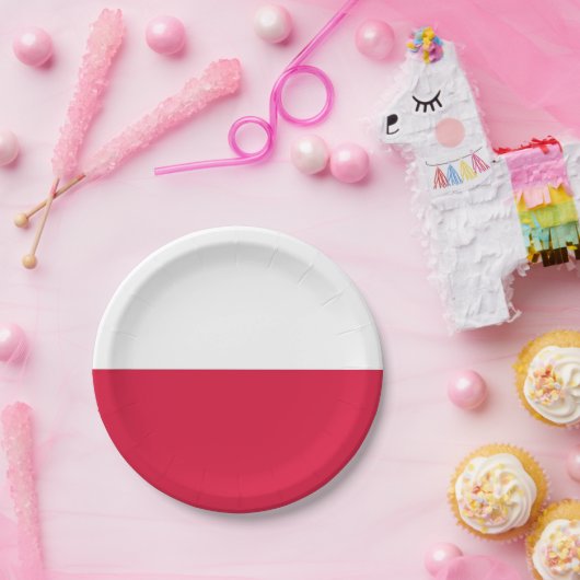 ポーランド国旗を持つ愛国的紙プレート ペーパープレート (パーティー)