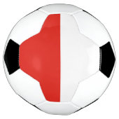 ポーランド国旗 サッカーボール (回転)