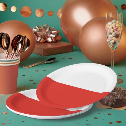 ポーランド国旗 ペーパープレート (複数)