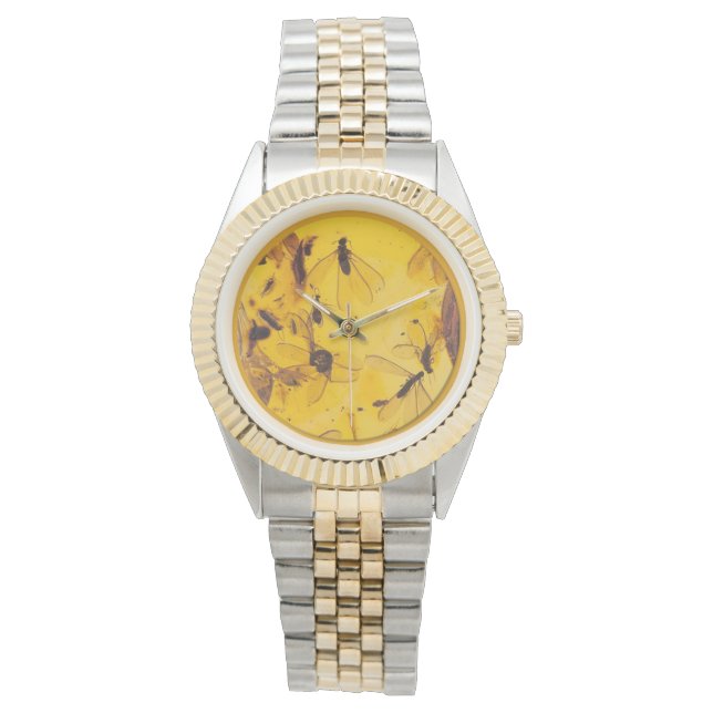 ポーランド琥珀の虫が見る 腕時計 (正面)