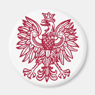 ポーランド磁石 マグネット