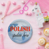 ポーランド話ここを曇った地球 ペーパープレート (パーティー)