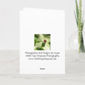 ポーランド誕生日カードストラットガールアンドパピーズ カード (裏面)