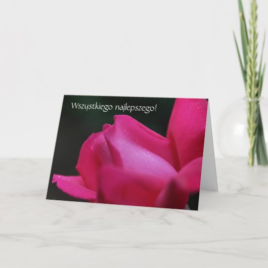 ポーランド誕生日カードストラットレッドローズ カード (正面)
