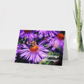 ポーランド誕生日スティンラットビーアスターフラワー カード (正面)