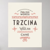 ポーランド語の杖 ポスター (正面)