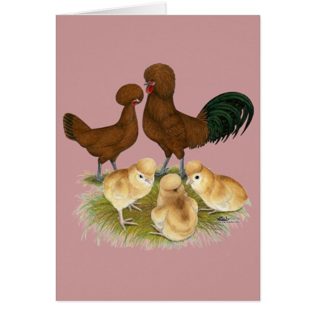 ポーランド語：赤系 (正面)