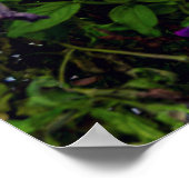 ポーランド・クラクフの広場にある布堂 ポスター (角)