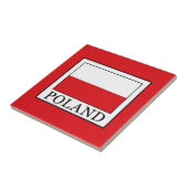 ポーランド タイル (側面)