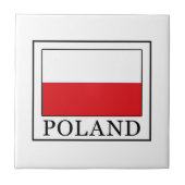 ポーランド タイル (正面)