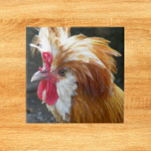 ポーラン赤と白ドチキン